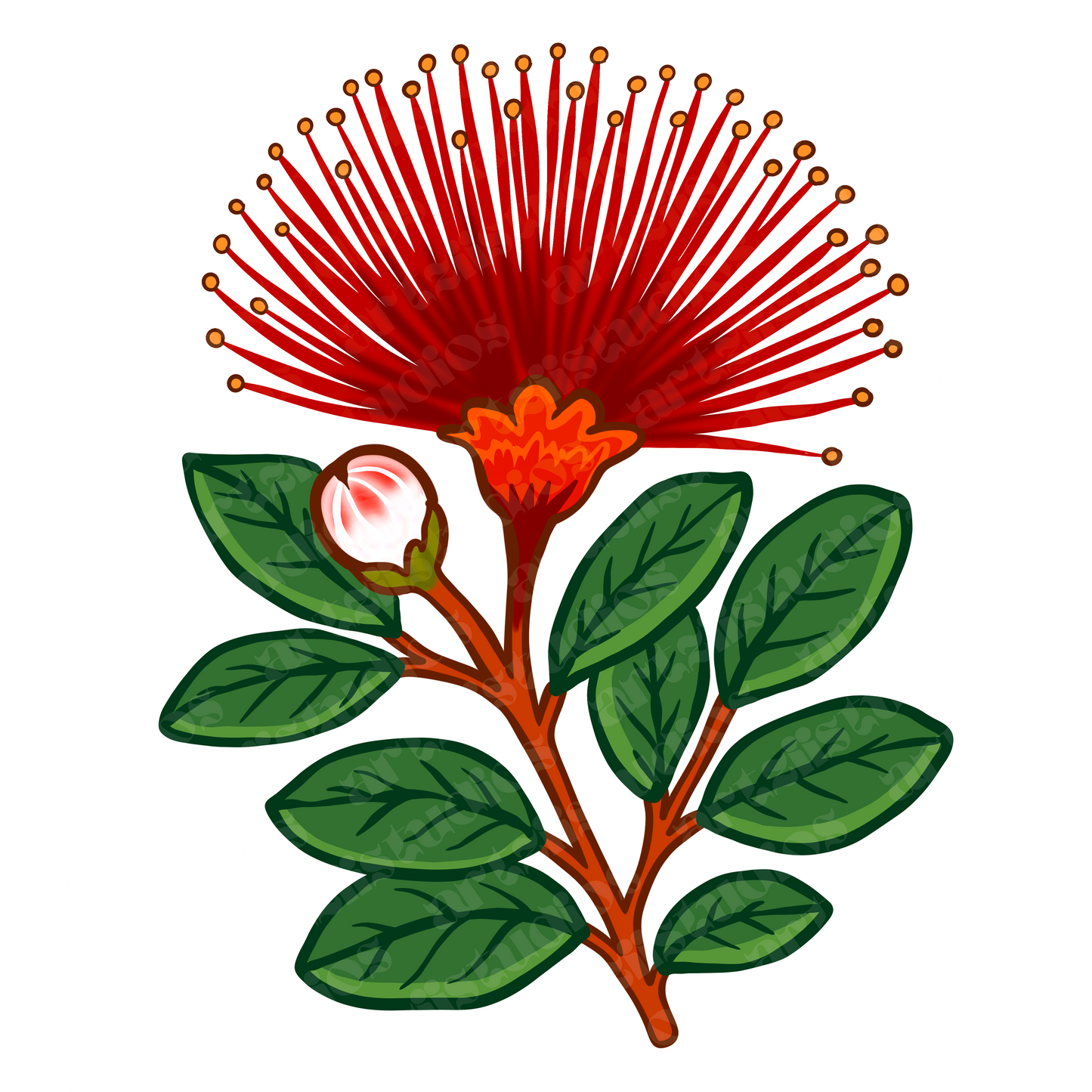 Ohia Lehua Repeat Surface Pattern and Graphic for Ashley Leopoldo