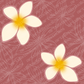 Tiare, Plumeria, Gardenia, Heliconia, and Hibiscus Surface Pattern for Kailanaho