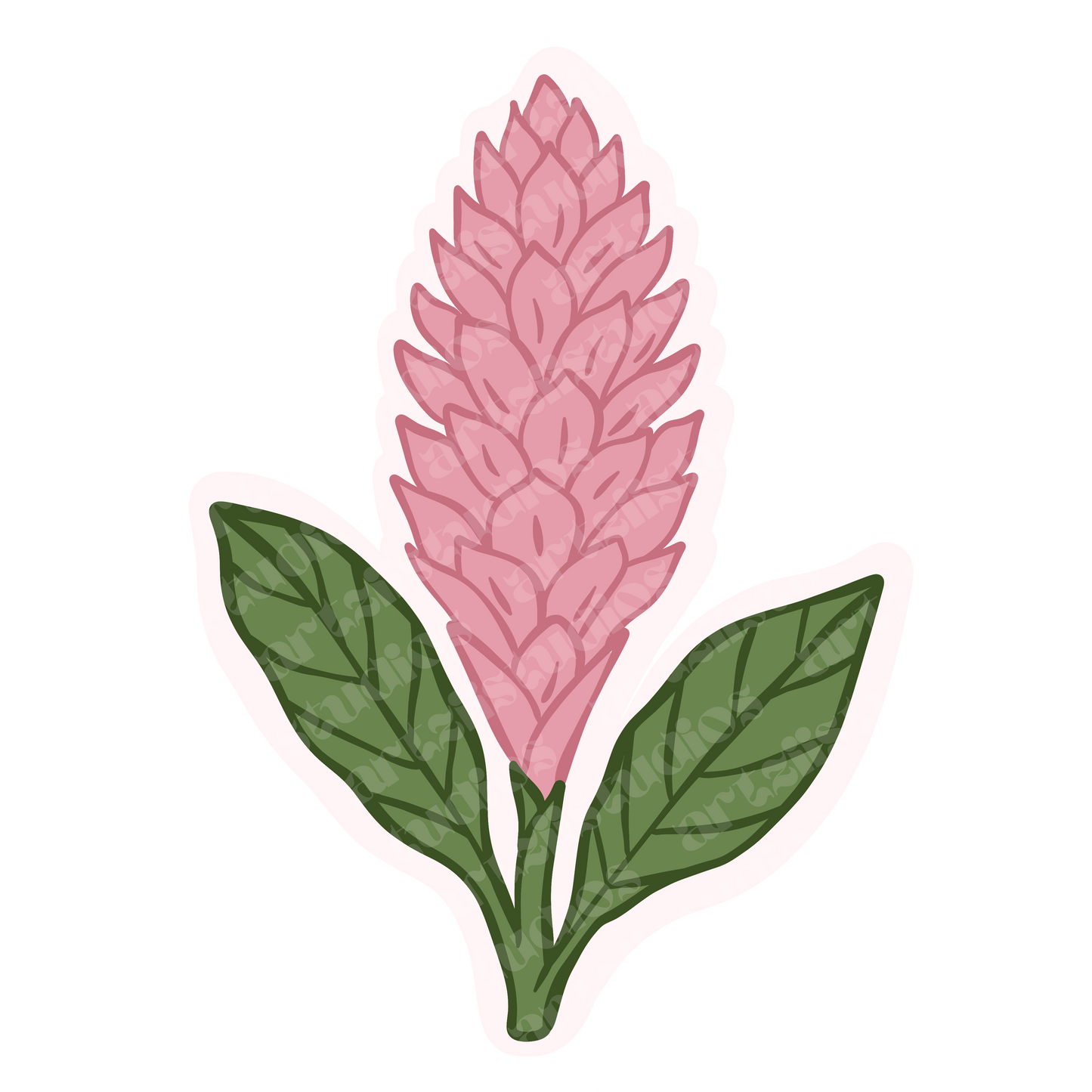 Red and Pink Ginger Flower Repeat Surface Pattern and Graphic for Ashley L