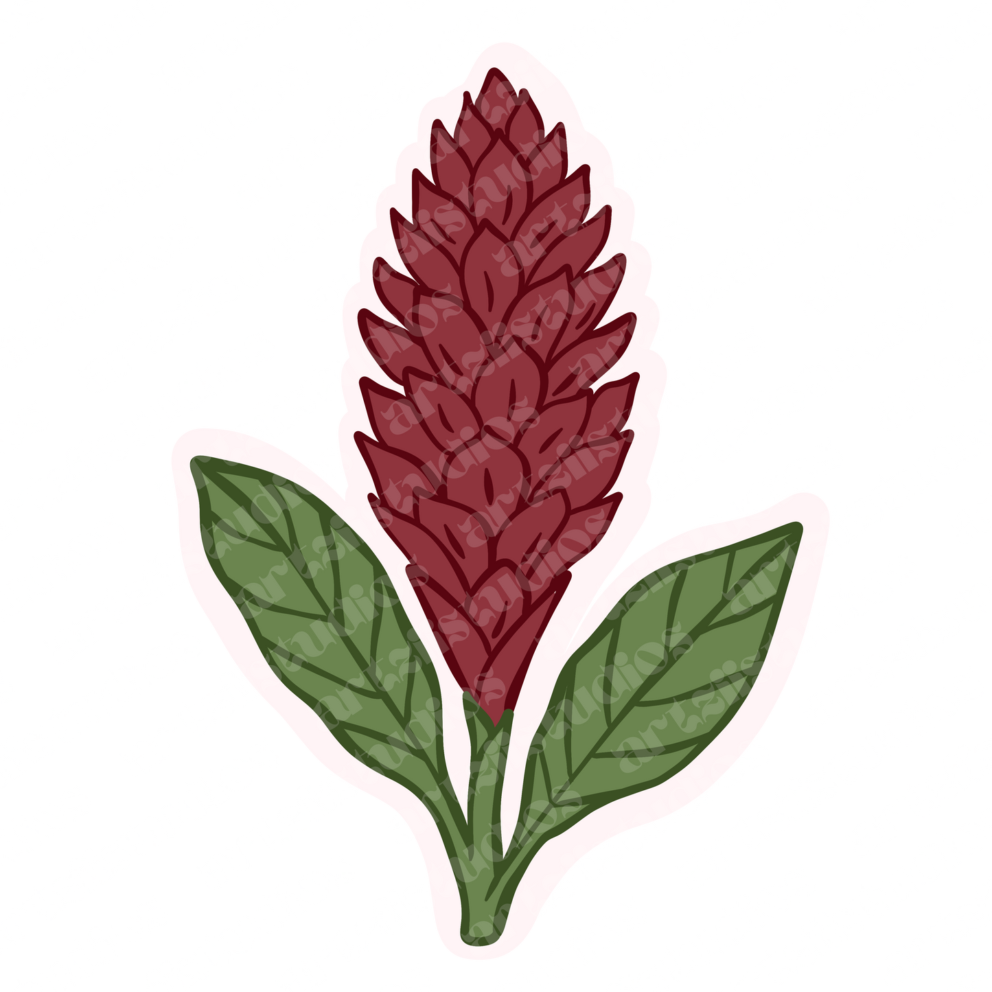 Red and Pink Ginger Flower Repeat Surface Pattern and Graphic for Ashley L