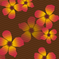 Hau Flower Surface Pattern
