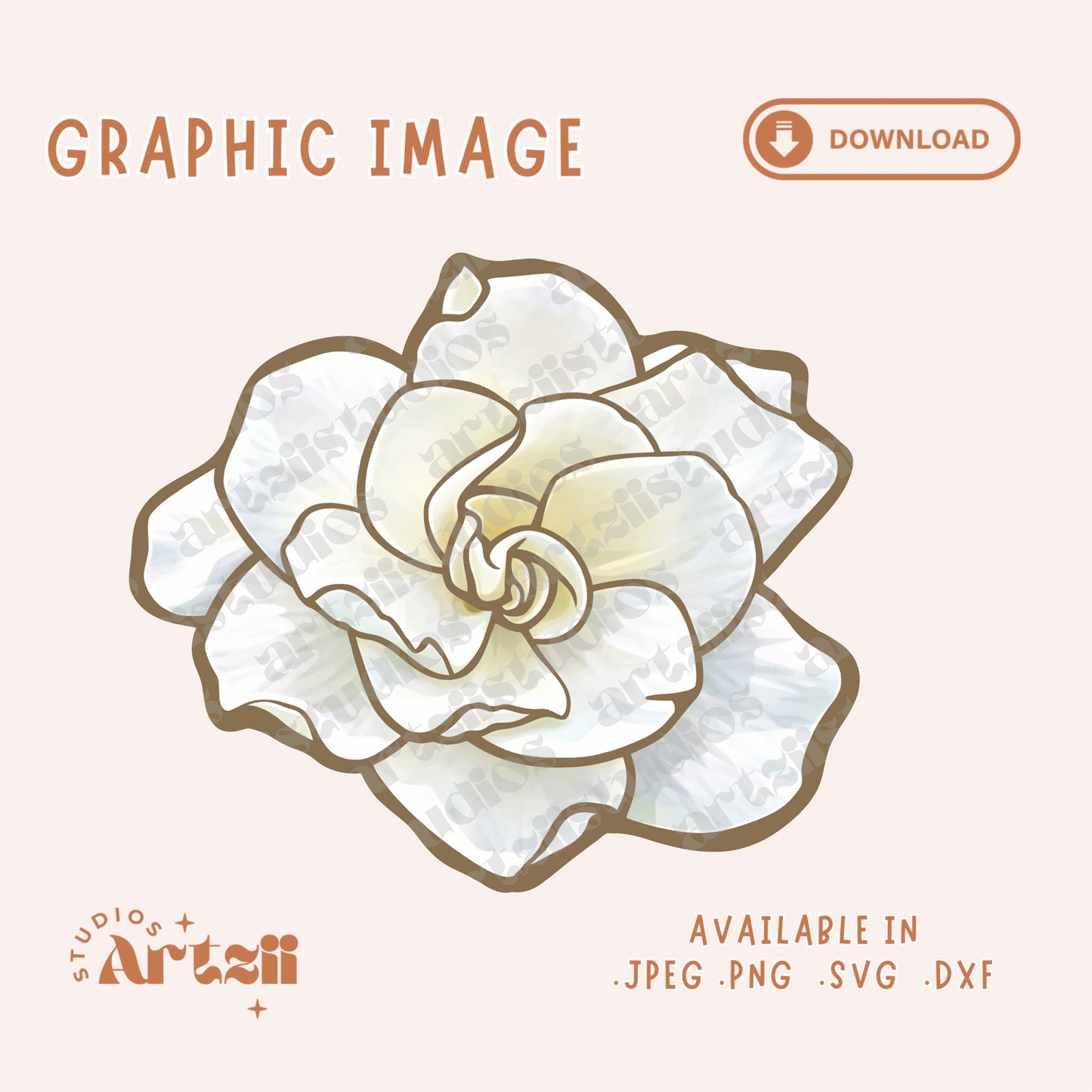 Gardenia Graphic Image