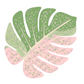 DKV Creations Variegated Monstera Clip Art