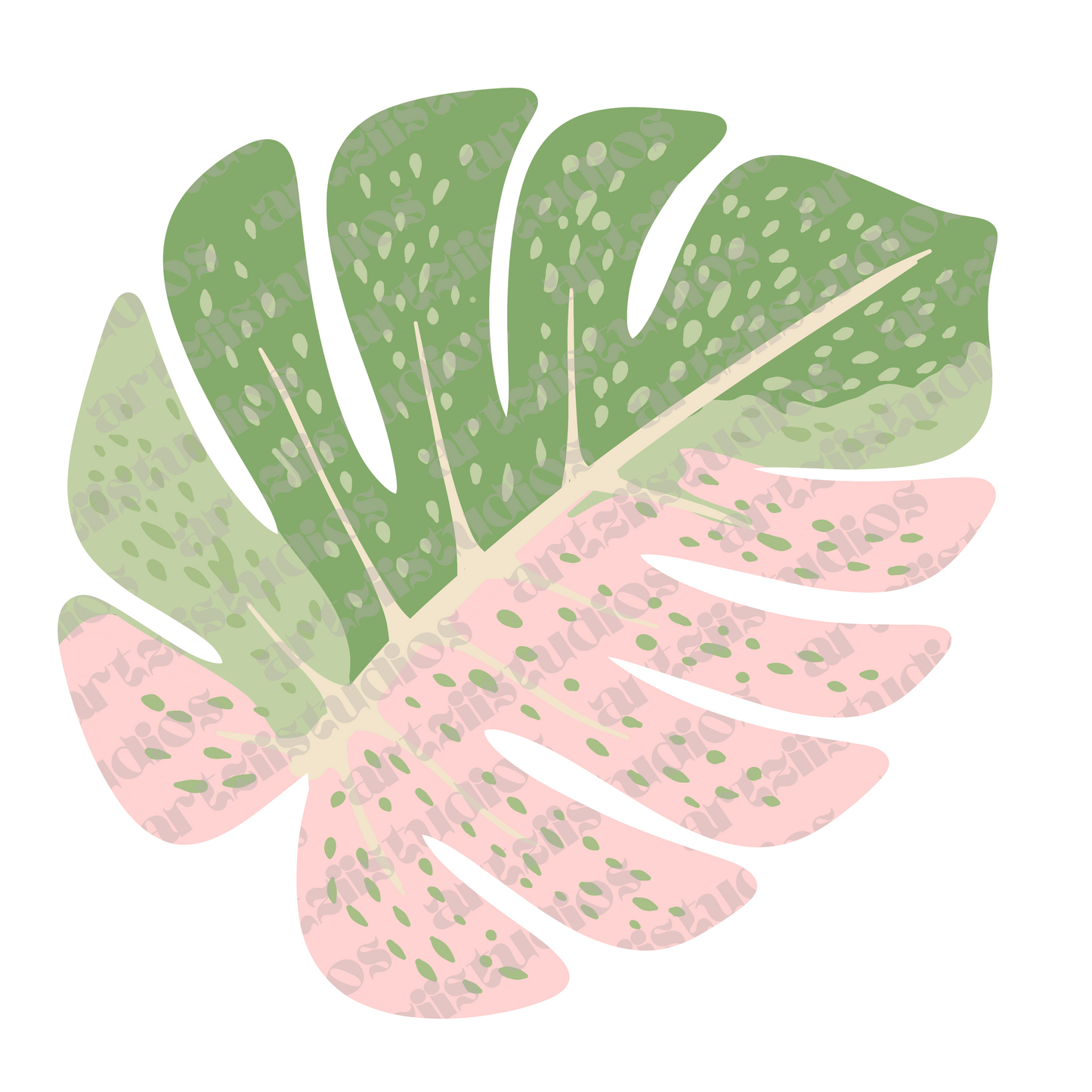 DKV Creations Variegated Monstera Clip Art