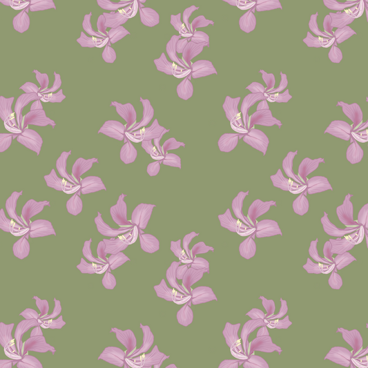 Butterfly Orchid Repeat Surface Pattern