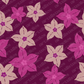 Mussaenda Flower Surface Pattern