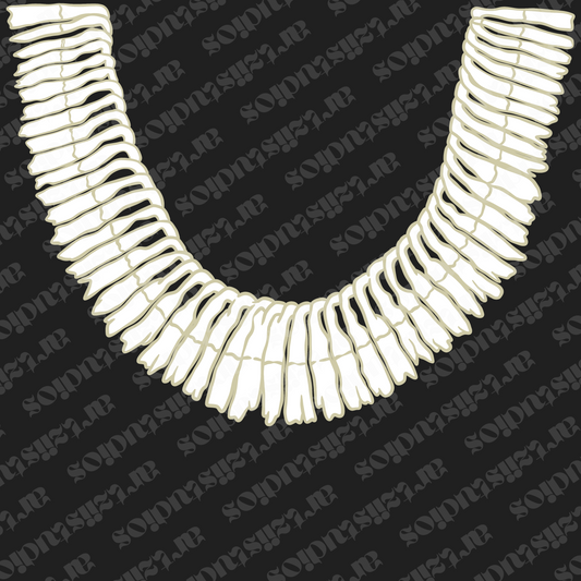 Micronesian Lei for Kent Reisdorff