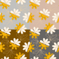 Naupaka Sun Repeat Surface Pattern